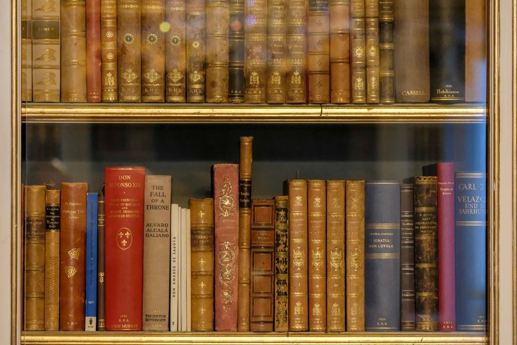 Tall shelves of books in an old library, in black and white